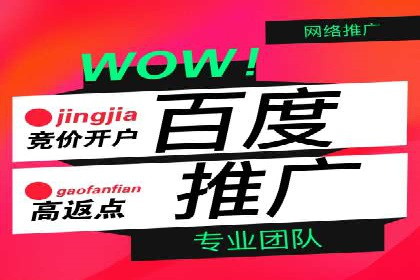 百度搜索推广实战技巧：成功案例背后的秘密